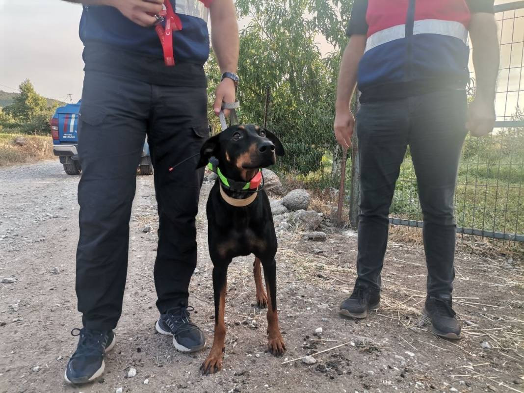 Korhan Berzeg’in ölümünde düğüm çözülüyor! DNA testi sonucu belli oldu - Resim: 34